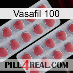 Vasafil 100 19